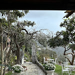 Photo n°25 de l'avis de Holly.o fait le 12/03/2023 à 09:27 sur le  Le Palme à Amalfi