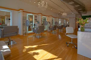 DaVinci Hair Studio image