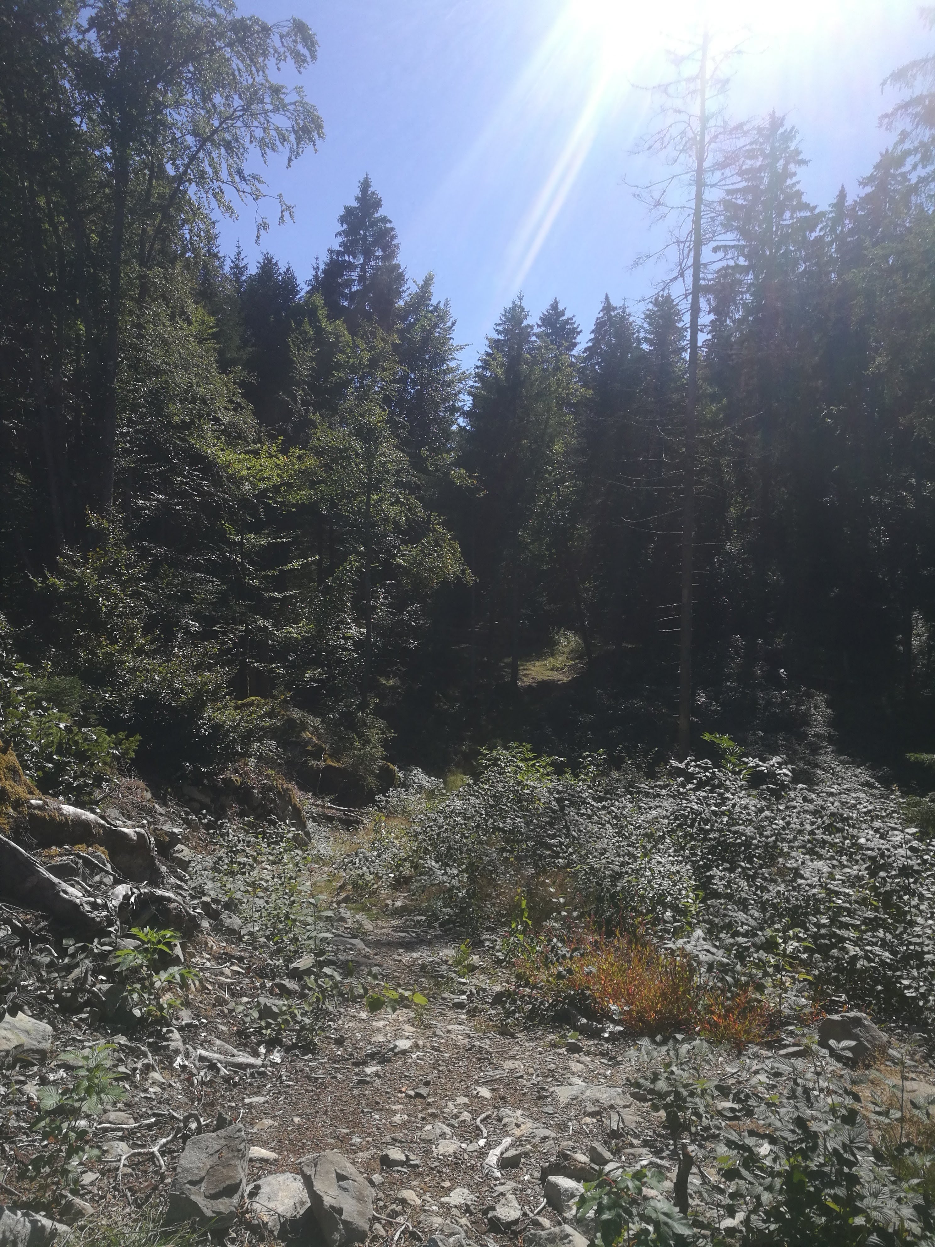 Photo n° 4 de l'avis de Rolland.a fait le 08/09/2020 à 14:44