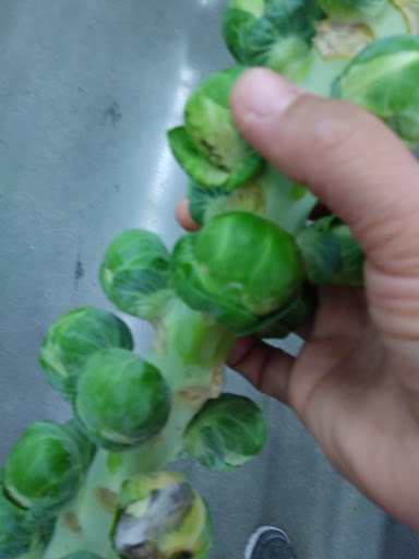 Supermarket «ALDI», reviews and photos, 19100 NW 27th Ave, Miami Gardens, FL 33056, USA