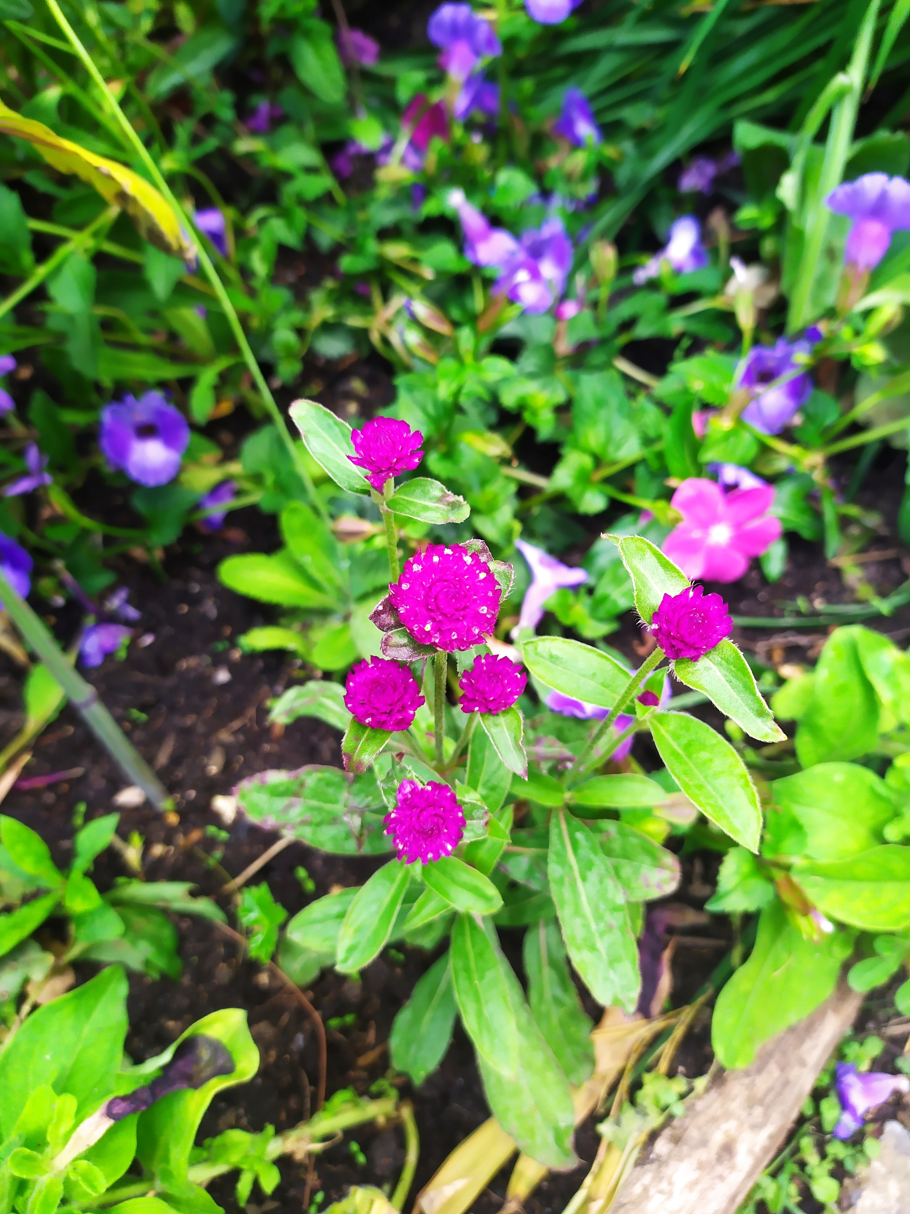 Photo n° 12 de l'avis de Christelle.E fait le 23/06/2022 à 19:09