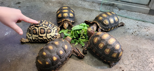 Aquarium «Tropical Treasures», reviews and photos, 3502 W Greenway Rd Suite 7, Phoenix, AZ 85053, USA