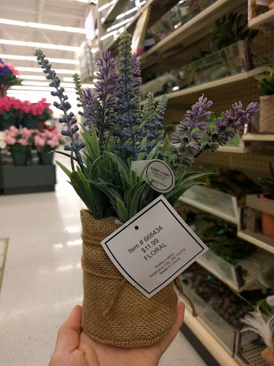 Craft Store «Hobby Lobby», reviews and photos, 4250 28th St SE, Kentwood, MI 49512, USA