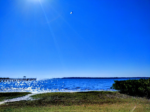 Park «R E Olds Park», reviews and photos, 107 Shore Dr W, Oldsmar, FL 34677, USA