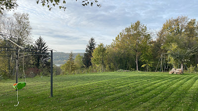 Chassagrande Élagage Fils ( élagage - abattage d’arbre - taille de haie - clôture - terrassement )77 la ferter sous jouarre à Saâcy-sur-Marne