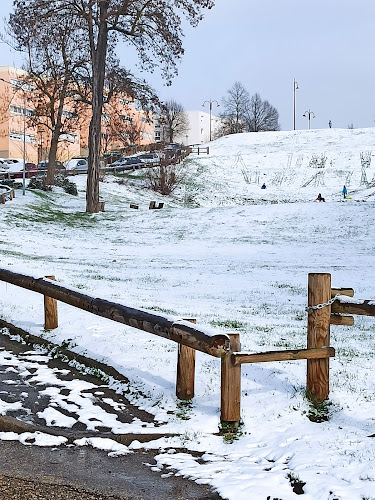 Parc du Montcel à La Ricamarie