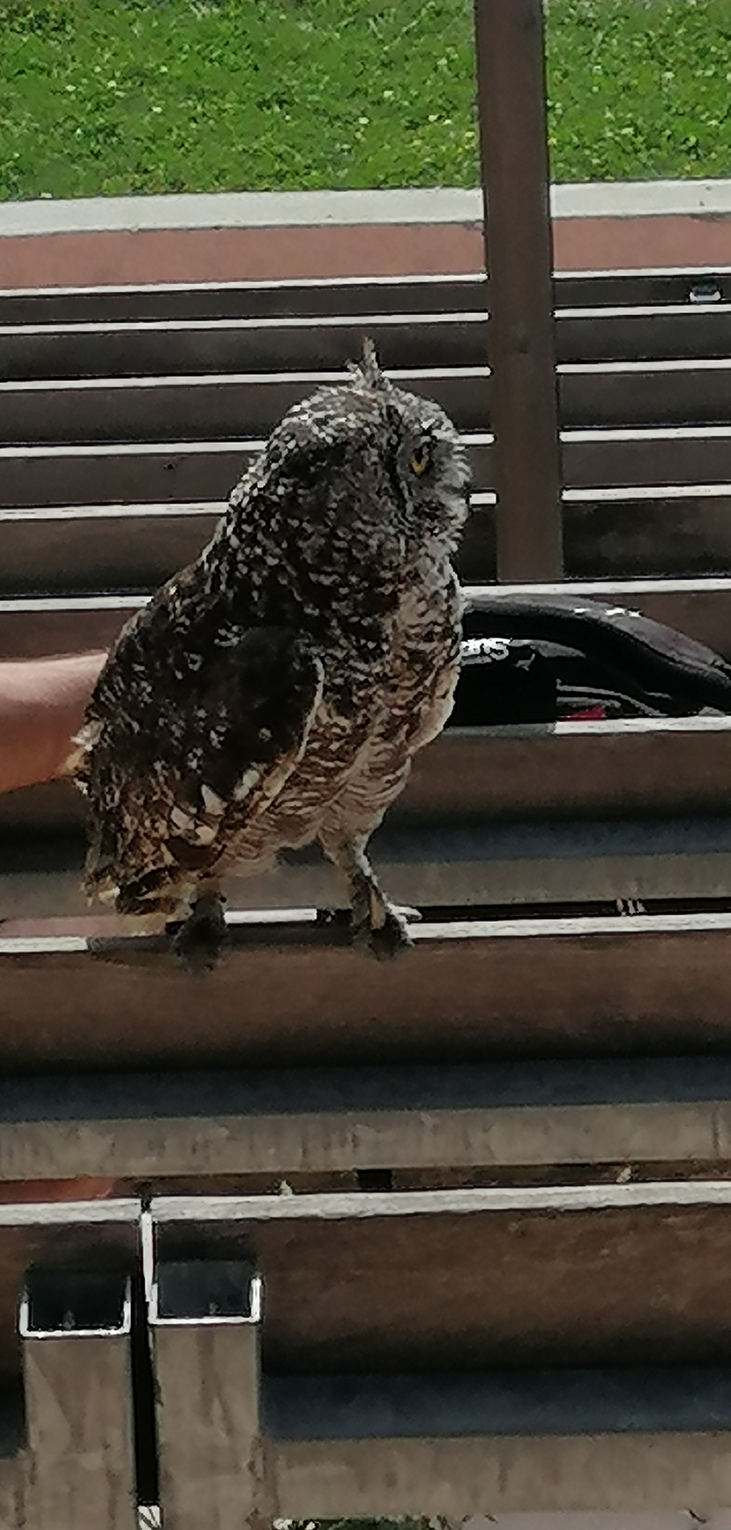 Photo n° 7 de l'avis de Jean.i fait le 08/09/2022 à 17:10