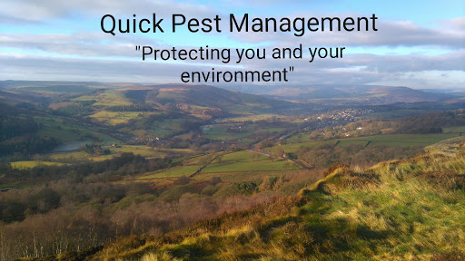 Quick Pest Management