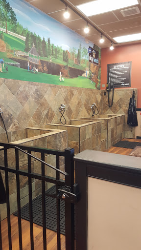 Pet Store «Pet Valu», reviews and photos, 378 Kelly Rd, Vernon, CT 06066, USA