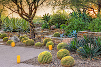 Southwest Landscape Design