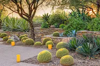 Southwest Landscape Design - Car repair in Las Vegas, NV, Spring Valley - Rated 2.3/5