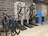 Crowley Cycles