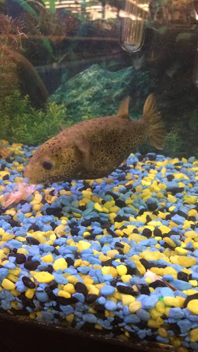 Pet Supply Store «Family Pet Store», reviews and photos, 38 Starrett Dr, Belfast, ME 04915, USA