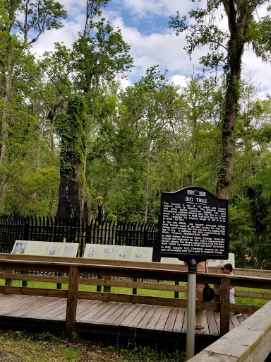 Park «Big Tree Park», reviews and photos, 761 General Hutchison Pkwy, Longwood, FL 32750, USA