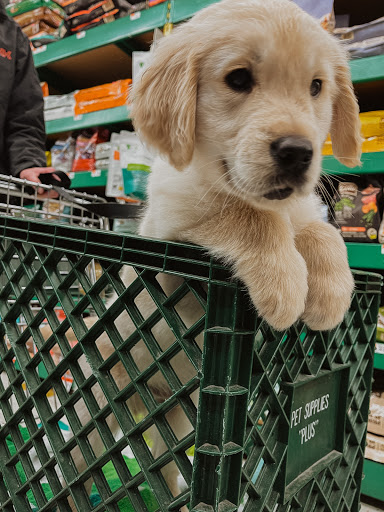 Pet Supply Store «Pet Supplies Plus», reviews and photos, 1377 N 21st St, Newark, OH 43055, USA