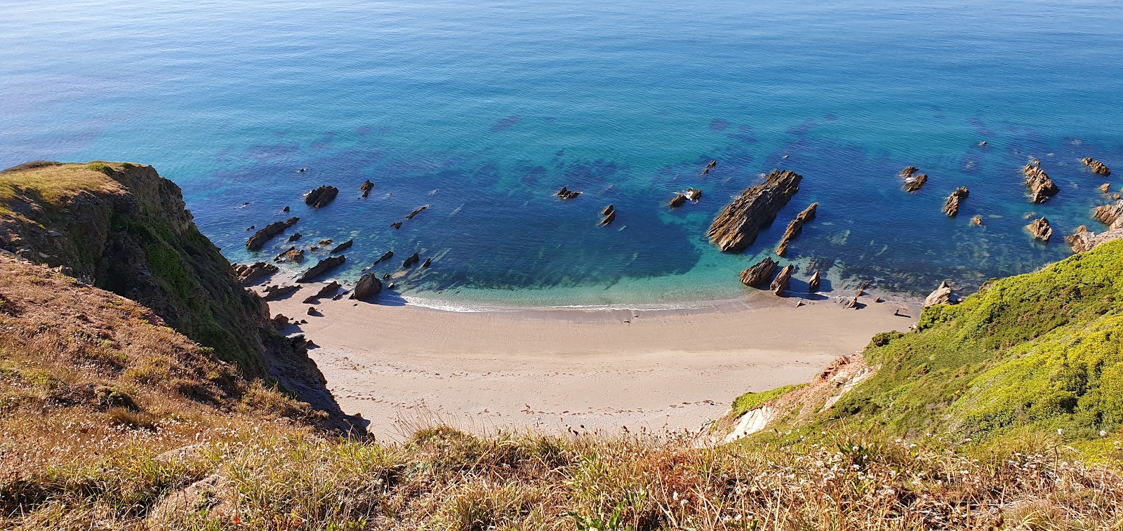 Foto von Britian Cove mit grauer sand Oberfläche