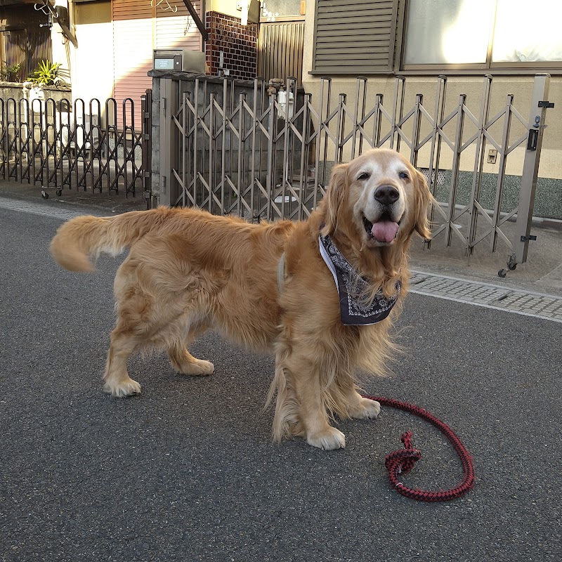 向島動物病院