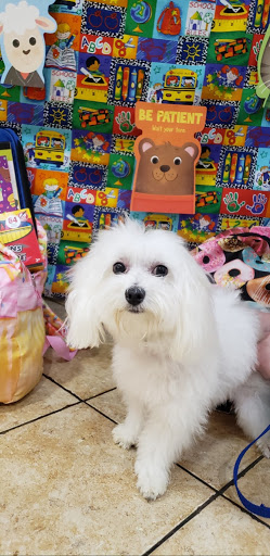Pet Supply Store «PetSmart», reviews and photos, 2540 Cumberland Blvd SE, Smyrna, GA 30080, USA