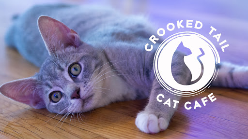 Crooked Tail Cat Cafe