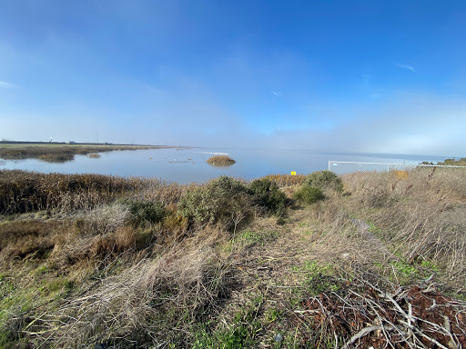 Nature Preserve «Cullinan Ranch», reviews and photos, 1158 Sears Point Rd, Vallejo, CA 94592, USA