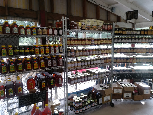 Produce Market «Keystone Farmers Market LLC», reviews and photos, 12615 Tarpon Springs Rd, Odessa, FL 33556, USA