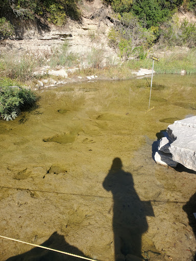 Gift Shop «Dinosaur Valley State Park Store», reviews and photos, 1629 Park Rd 59, Glen Rose, TX 76043, USA