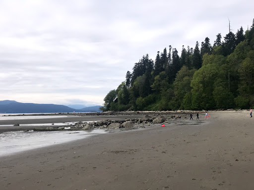 Acadia Beach