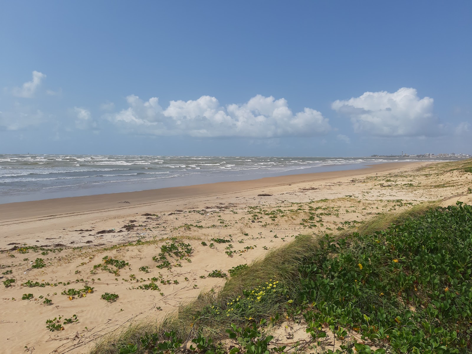 Foto de Praia de Atalaia Nova zona salvaje