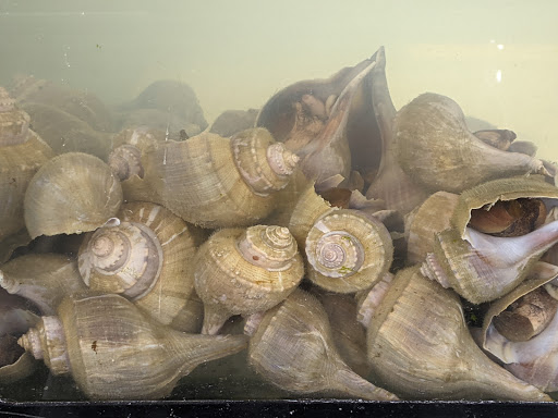 Asian Grocery Store «Hong Kong Supermarket», reviews and photos, 3828 S Yakima Ave, Tacoma, WA 98418, USA