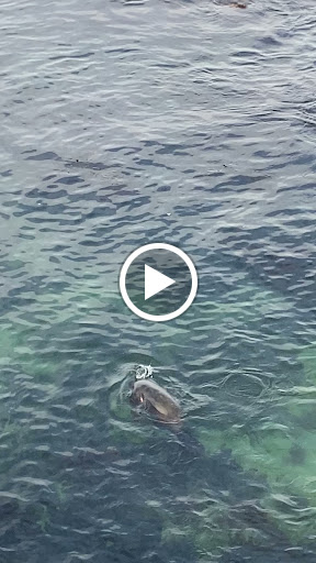 Wine Store «A Taste of Monterey - Wine Market & Bistro», reviews and photos, 700 Cannery Row KK, Monterey, CA 93940, USA