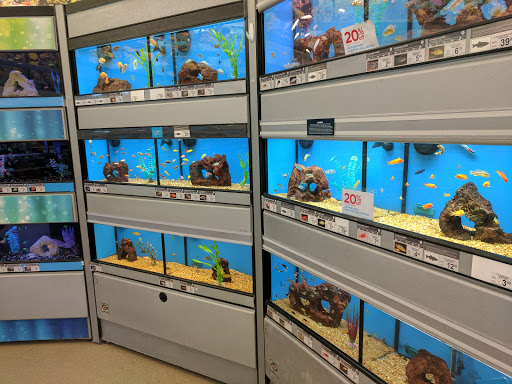 Pet Supply Store «Petco Animal Supplies», reviews and photos, 21851 Towne Center Dr, Watertown, NY 13601, USA