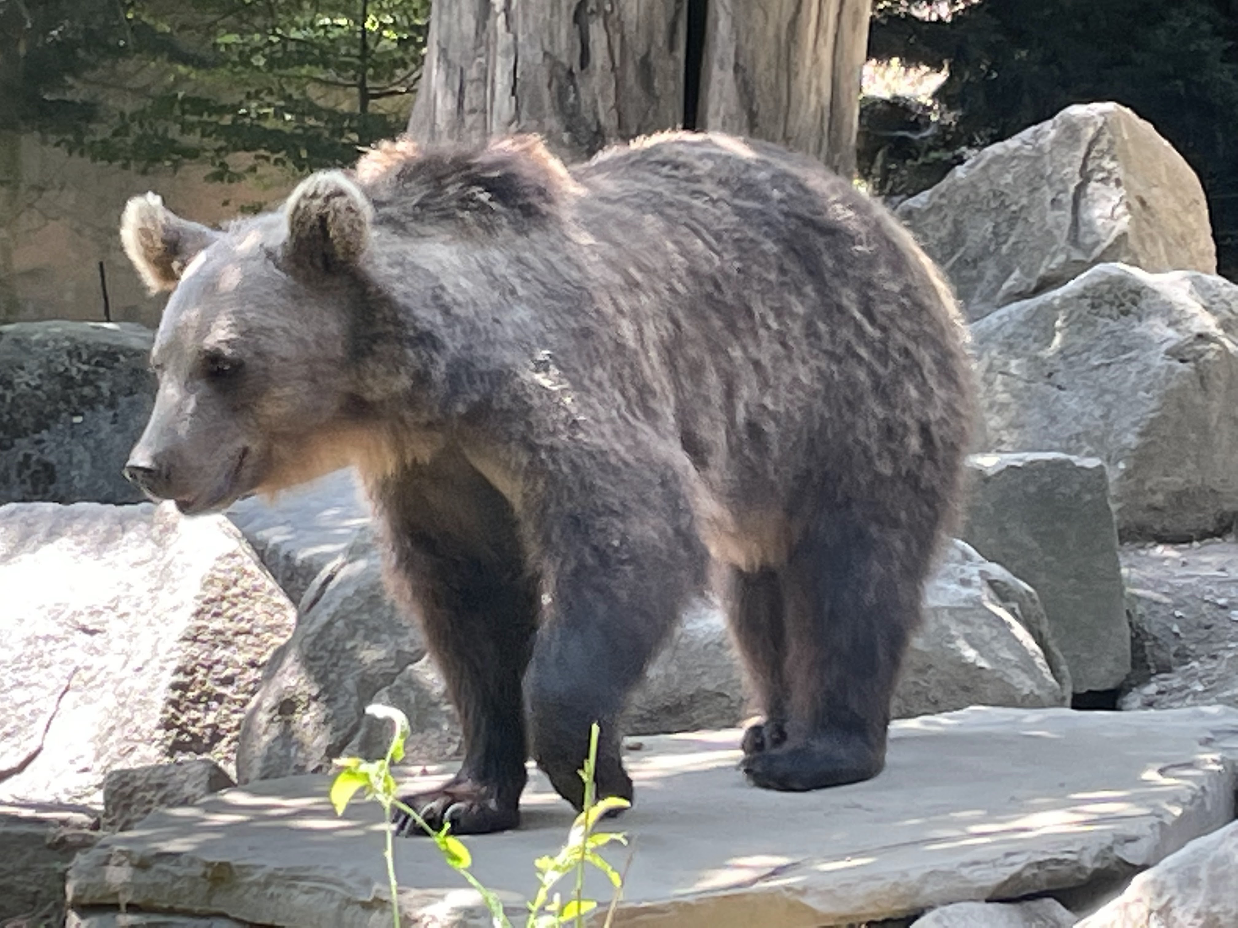 Photo n° 34 de l'avis de Gregory.G fait le 01/08/2022 à 10:31