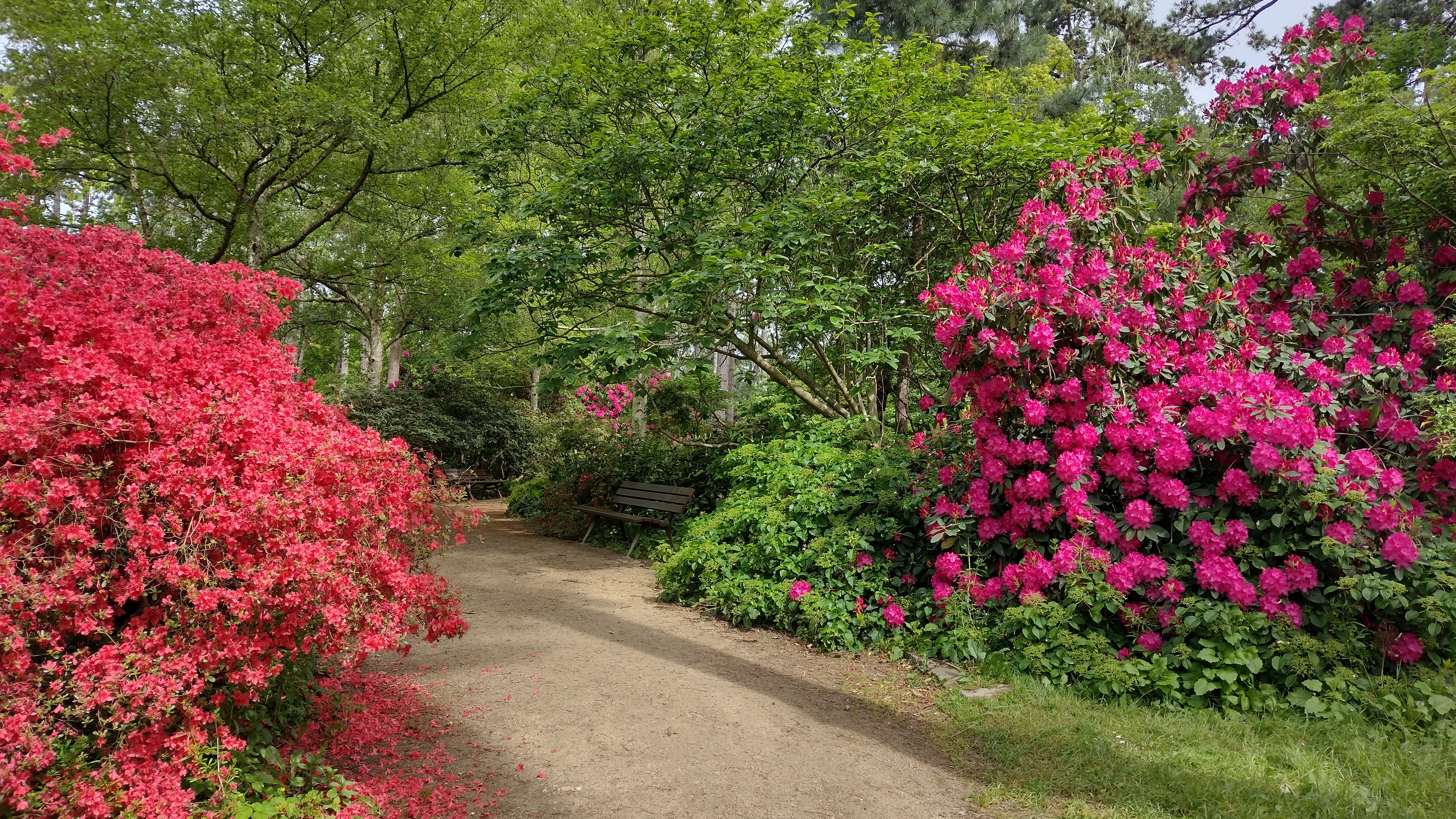 Photo n° 2 de l'avis de FanFan. fait le 06/05/2023 à 12:04