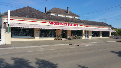 Migennes Fleurs à Migennes