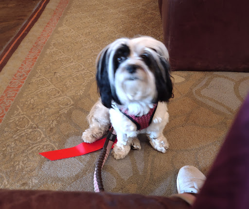 Pet Supply Store «Natural Pet Specialty Shop», reviews and photos, 398 N Harbor City Blvd, Melbourne, FL 32935, USA