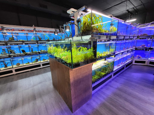 Pet Store «Bluewater Zoo Exotic Aquariums & Reptiles», reviews and photos, 159 Miracle Strip Pkwy SE, Fort Walton Beach, FL 32548, USA