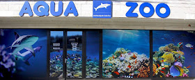 Coral Aqua Zoo Kft.