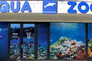 Coral Aqua Zoo Kft. image