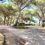 Photo n°4 de l'avis de Pamela.a fait le 23/07/2023 à 17:52 sur le  Camping S'Ena Arrubia à Arborea