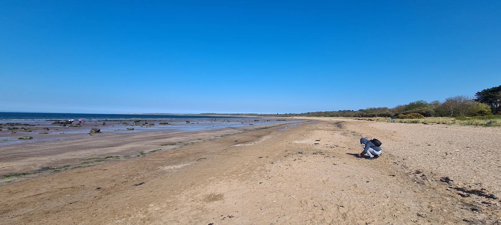 Seton Sands Beach的照片 带有明亮的沙子表面