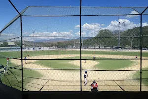 Minor Baseball Stadium on April 19 image
