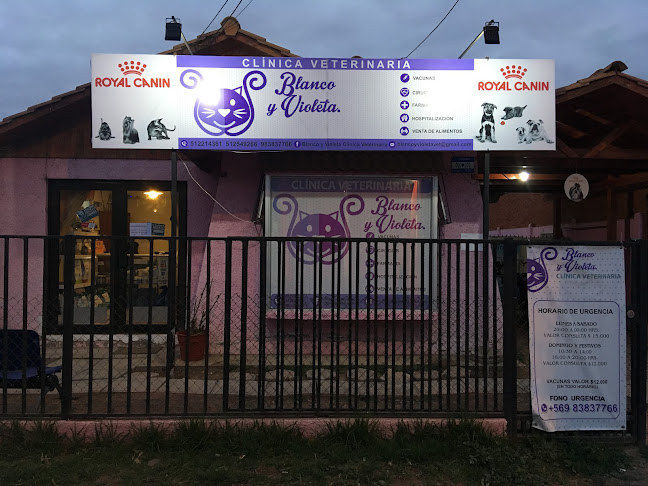 Opiniones de Clinica Veterinaria Blanco Y Violeta en La Serena - Veterinario