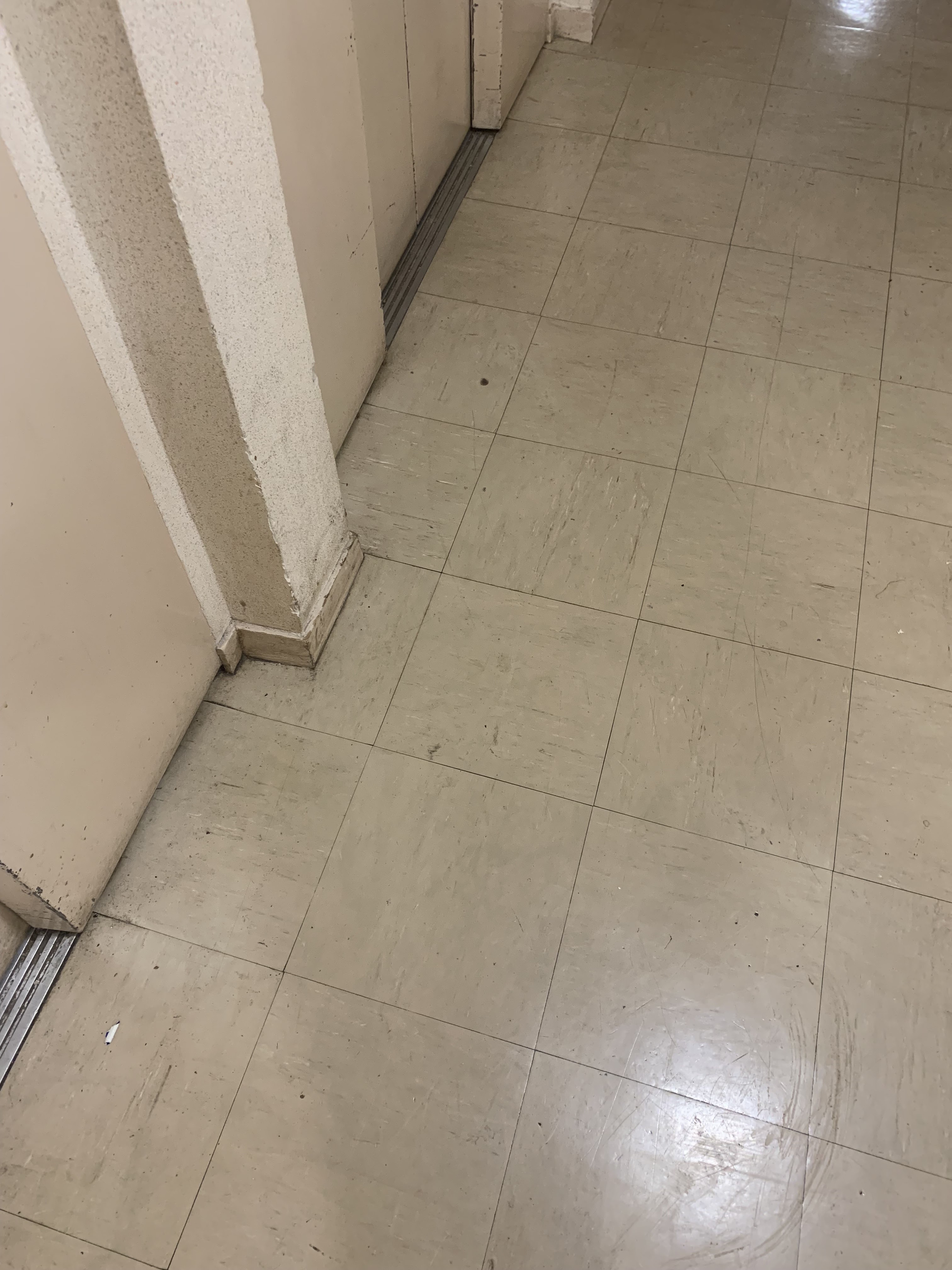 Photo n° 4 de l'avis de Li.i fait le 17/08/2022 à 15:17