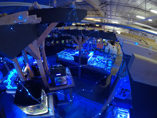 Tropical Fish Store «Elite Reef», reviews and photos, 8410 Wadsworth Blvd F, Arvada, CO 80003, USA