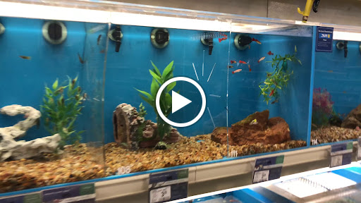 Pet Supply Store «PetSmart», reviews and photos, 3585 N Shiloh Dr, Fayetteville, AR 72703, USA