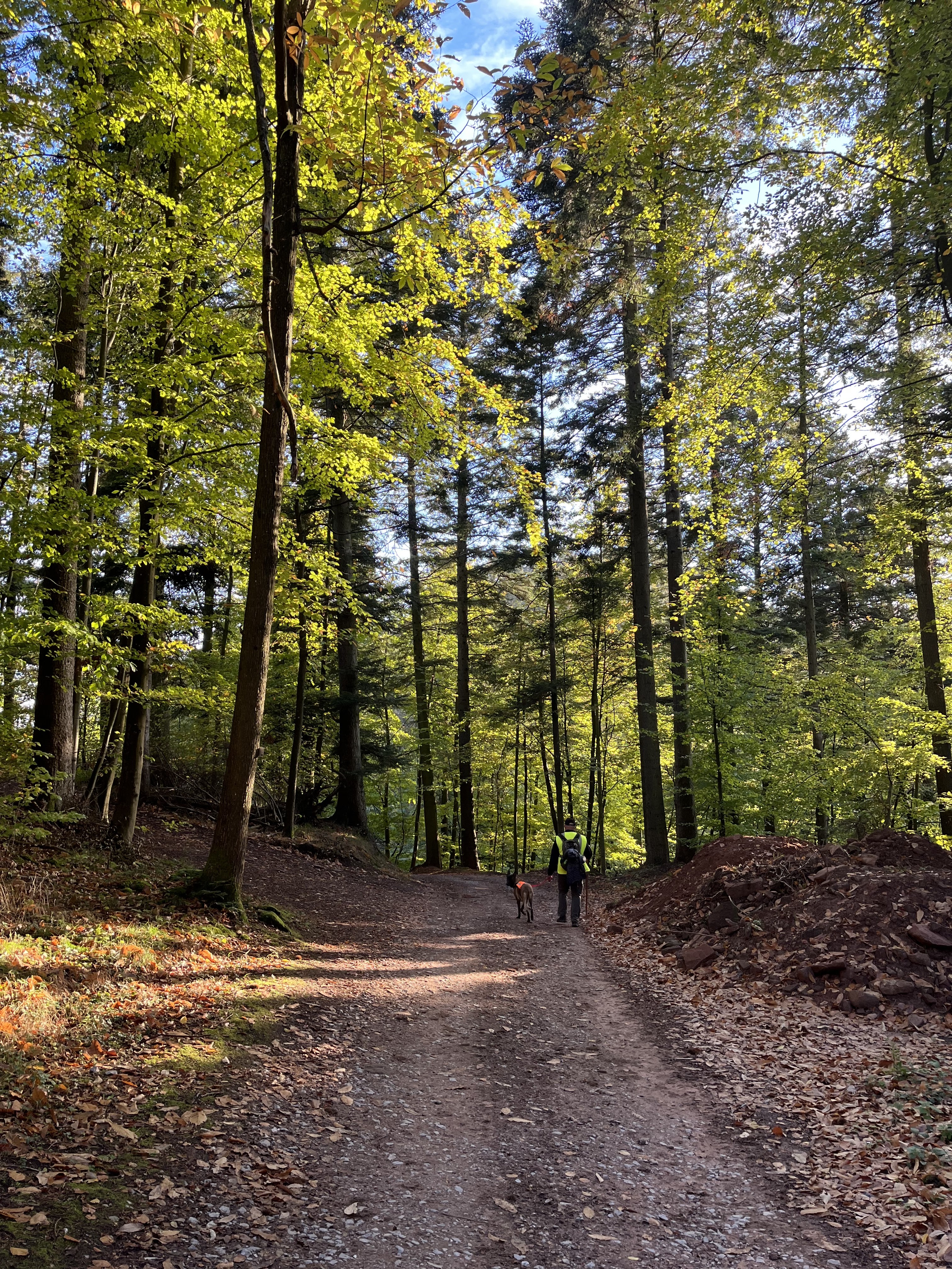 Photo n° 3 de l'avis de Audrey.r fait le 06/11/2022 à 05:24