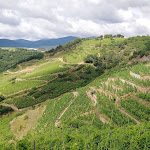 Photo n° 5 de l'avis de Michel.e fait le 11/07/2021 à 15:16 pour Chambres d'Hôtes l'Ecrin de Vert à Saint-Alban-du-Rhône