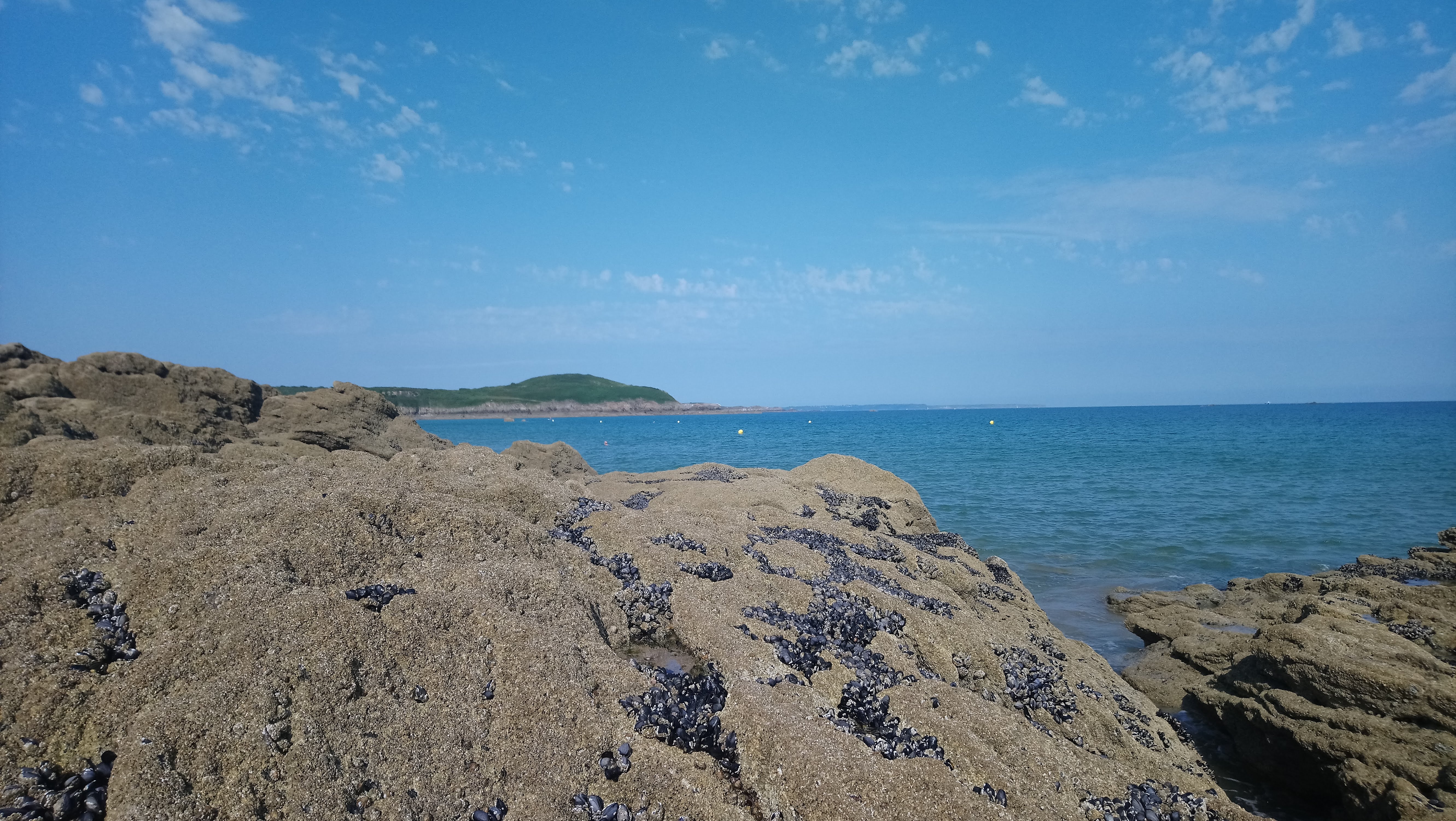 Photo n° 3 de l'avis de jean-marc.r fait le 27/07/2018 à 22:20