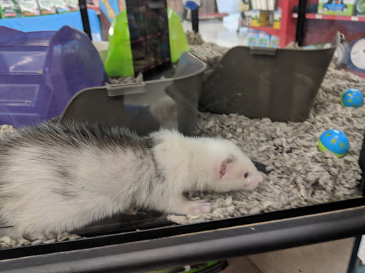 Petco