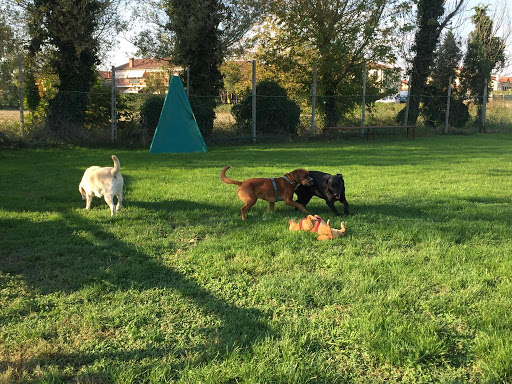 Pensioni per cani e dog hotel a La casa di Molly Centro cinofilo